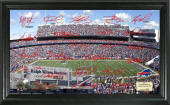 Ralph Wilson Stadium Poster-Click to Buy!