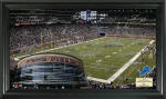 Ford Field Poster-Click to Buy!
