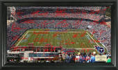 LP Field Poster-Click to Buy!